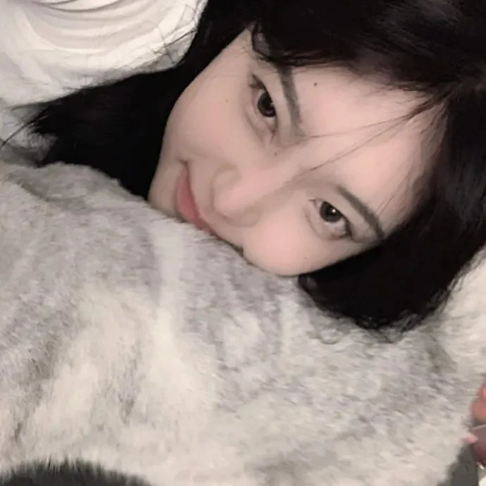 缉拿杨枪枪海报