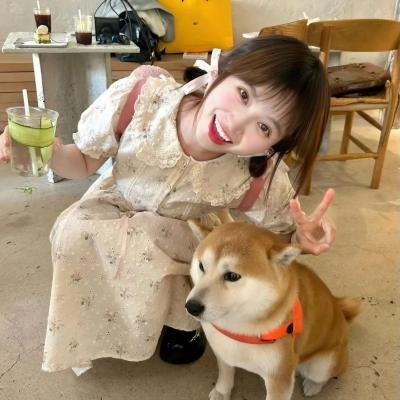 良夜苦果海报